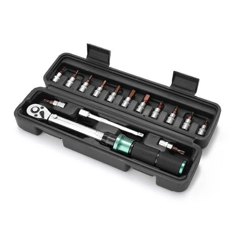 HAPPYSHOPPING 2-24N.m 1/4 Zoll Antrieb 15 STÜCKE Voreingestellte Drehmomentschlüssel Bits Set Schnellspanner Mini Tragbarer Einstellbarer Drehmomentschlüssel Haushalt Fahrrad Auto Autoreparaturen Mit Aufbewahrungsbox,15pcs